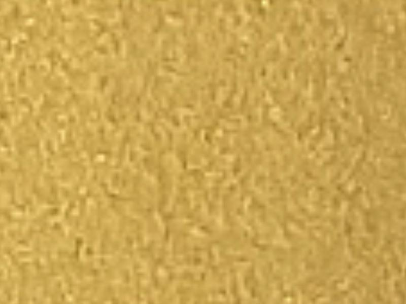1 mt of POLI-FLEX NYLON 4820 METALLIC GOLD. Thermo transferable vinyl sheet POLI-TAPE
