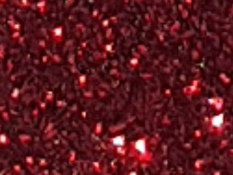 1 mt di POLI-FLEX PEARL GLITTER 456 RED. Foglio termo trasferibile in vinile POLI-TAPE