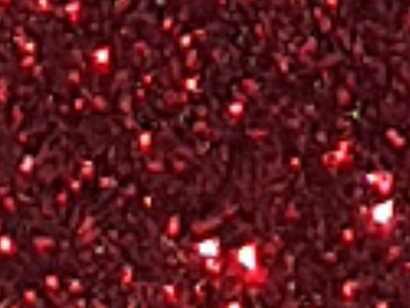 1 mt of POLI-FLEX PEARL GLITTER 456 RED. Thermo transferable vinyl sheet POLI-TAPE