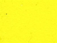 N ° 1 ROLL 30x50 of  STRIPFLOCK PRO S0003 LEMON. Thermo transferable roll in SISER vinyl