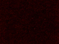 N ° 1 ROLL 30x50 of  STRIPFLOCK PRO S0016 BURGUNDY. Thermo transferable roll in SISER vinyl