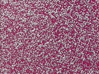 N ° 1 ROLL 30x50 of SPARKLE SK0008 PERFECT PINK. Thermo transferable roll in SISER vinyl