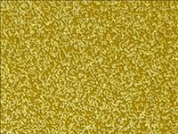 N ° 1 ROLL 30x50 of SPARKLE SK0020 GOLD STAR. Thermo transferable roll in SISER vinyl