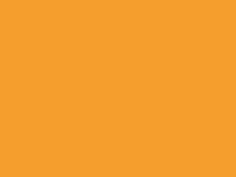 5 mt of ROYALPUFF 03 ORANGE. Thermo transferable roll SEF