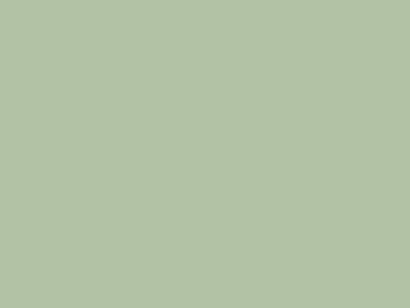 1 mt of POLI-FLEX TURBO 6988 SAGE GREEN. Thermo transferable vinyl sheet POLI-TAPE