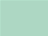 1 mt of POLI-FLEX PREMIUM 692 MINT. Thermo transferable vinyl sheet POLI-TAPE