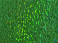 1 mt of POLI-FLEX IMAGE STARFLEX 495 GREEN. Thermo transferable vinyl sheet POLI-TAPE