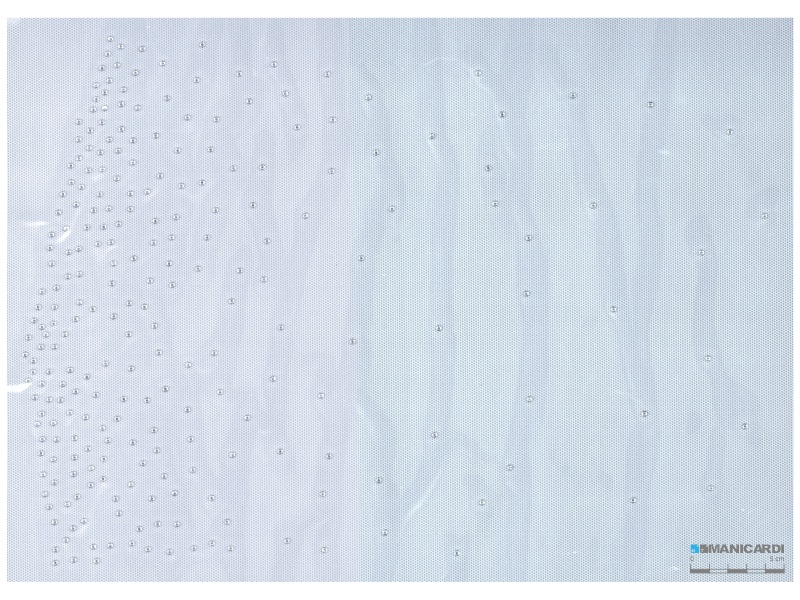 TRANSFER MOTIF 01 RHINESTUD